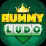 Rummy Ludo